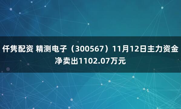 仟隽配资 精测电子（300567）11月12日主力资金净卖出1102.07万元